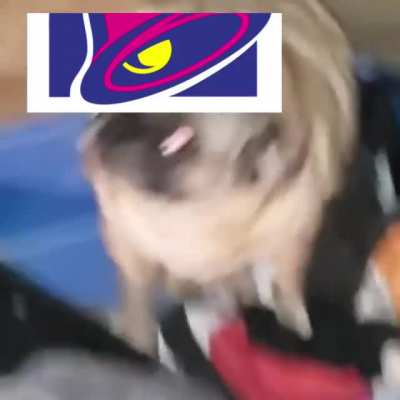 h.org