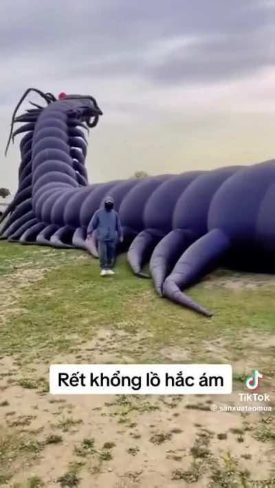 Elder Centipede