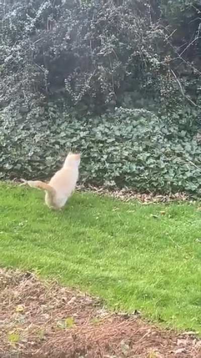 A mighty hunter!