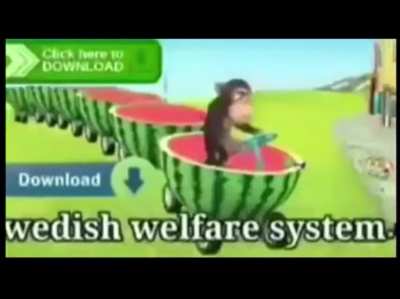 Bin laden