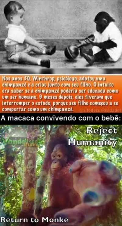 FODA-SE A EVOLUÇÃO