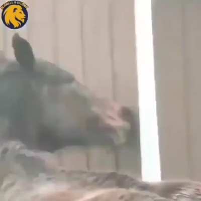 Maybe maybe maybe