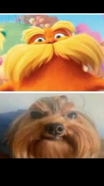 A porra do lorax