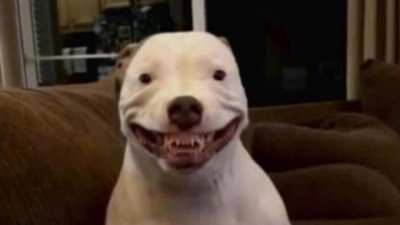 Goodnight Guys 🥰