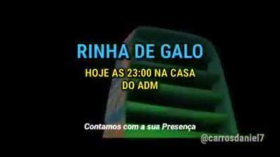Libera a rinha de galo😞👊