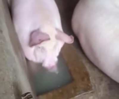 hmmm