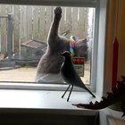 Кто там?