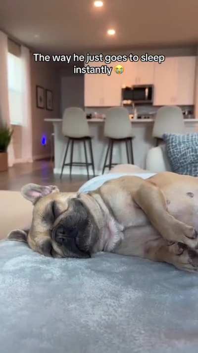 adorable pup