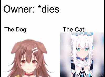 I wouldn't mind if Fubuki smiled at my corpse