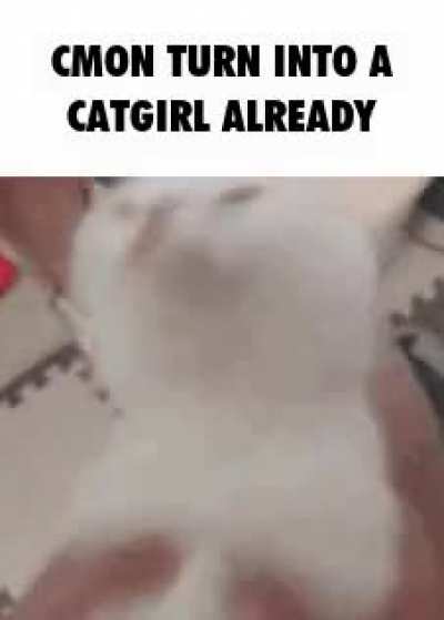 rule