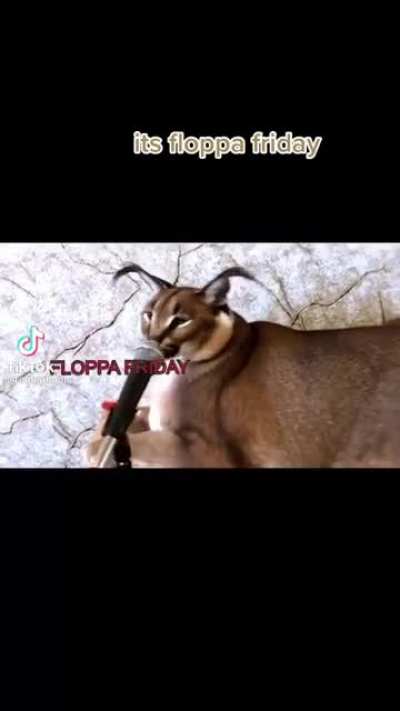 floppa friday