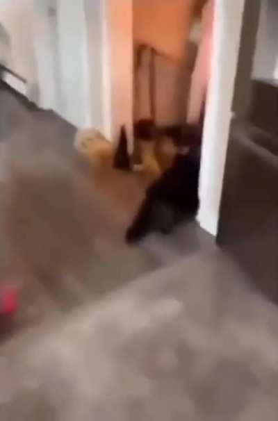 Its a fire!