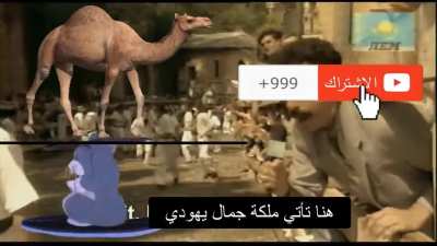 ما أجمل مصارعة الثيران لليهود الشيا<wbr>طين الأغب<wbr>ياء ومغتصبي كازاخ<wbr>ستان FUNNY RUNNING OF THE JEW 🤣🤣🤣🤣🤣<wbr>🤣🤣🤣🤣و<wbr>ضعت هتافات البيض