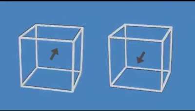 These cubes aren't moving