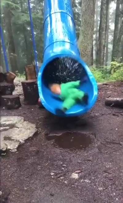 How babies are born