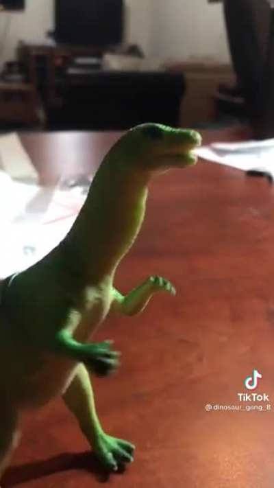 How dinosaurs went extinct