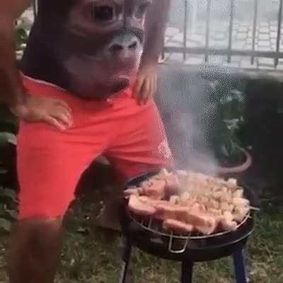 Monkey Blowing on Barbecue