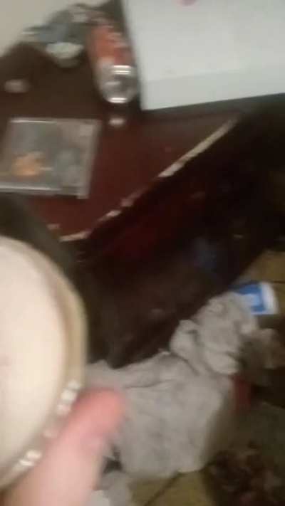 curse<wbr>d_pri<wbr>ngles