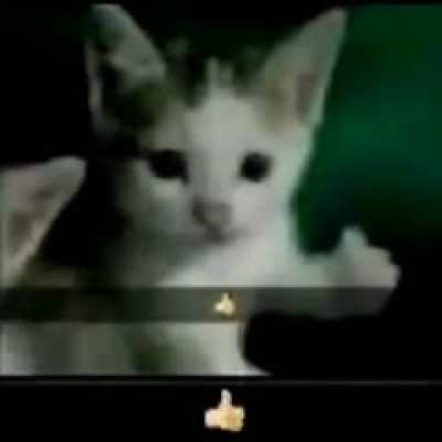 👍🏼
