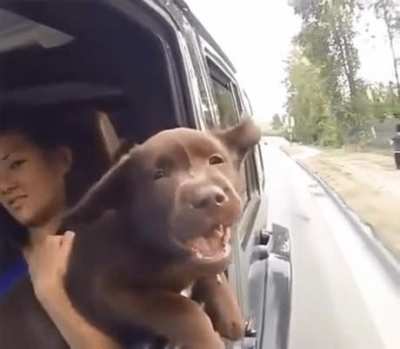 First ride of doggo
