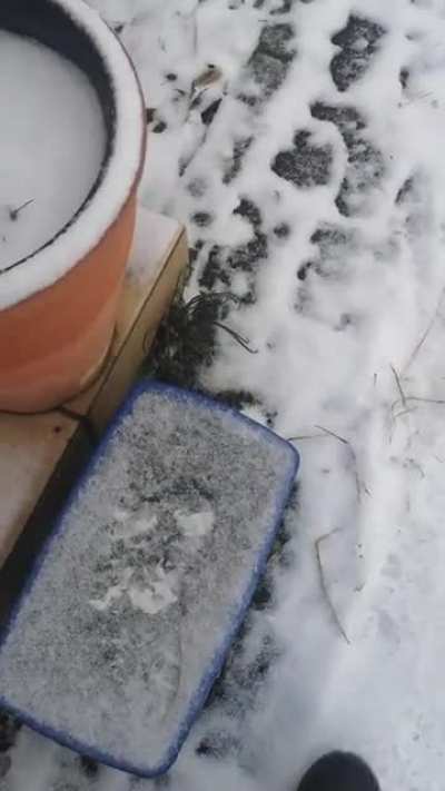 Ist ein bisschen her das bei mir Schnee lag. Muss ich mich wohl wieder dran gewöhnen.