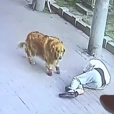 HMFT after I receive an orbital CAT strike