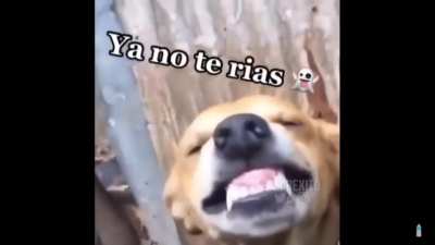 El Viej0 SanCA