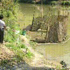 Fish trap