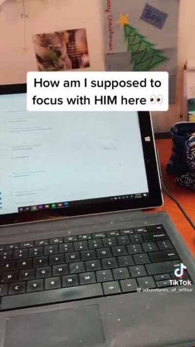Study buddy