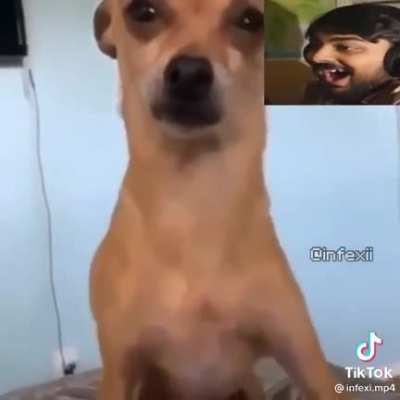 Uh