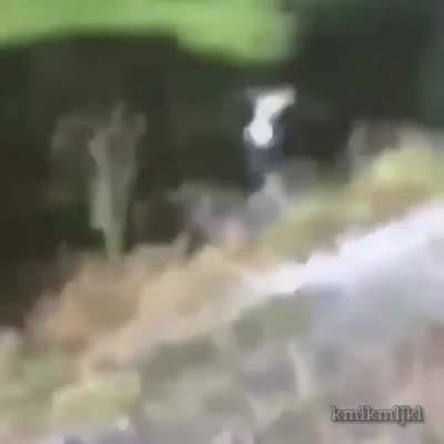 Тем временем во Флориде
