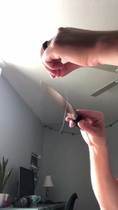 Hanging hair test