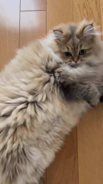 SUPADUPACHONK