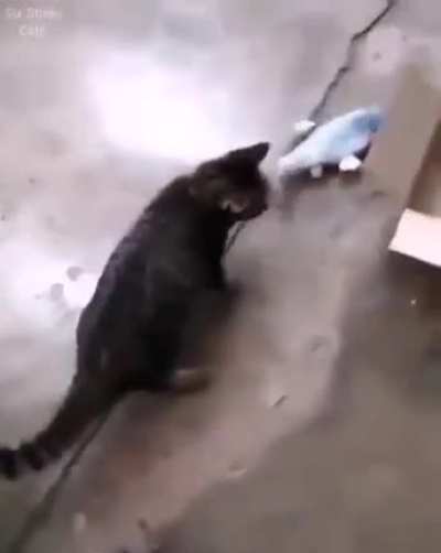 So do you think it will be that easy?