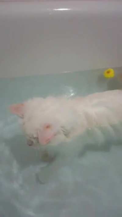 Every time I pour water into the bath and when I come back - I see a similar picture