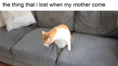 all the time..