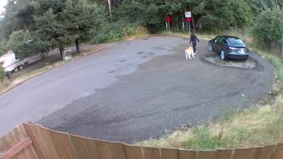 Owner dumping dog in Vancouver, WA