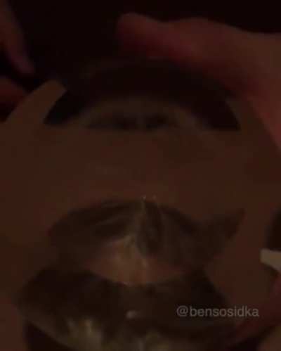 Thunder in glass, Queen go 
