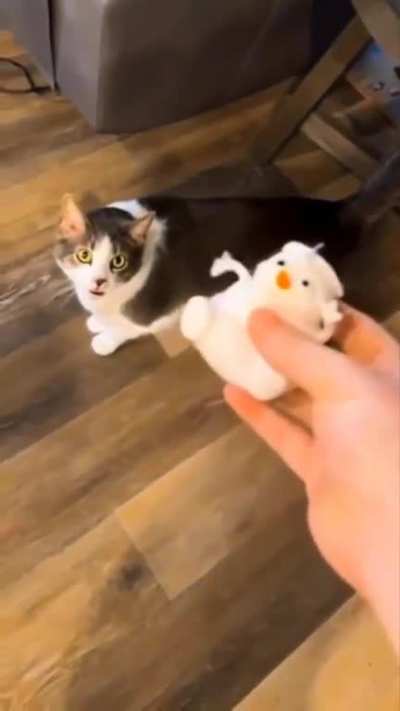 Bro just wanted his toy :(