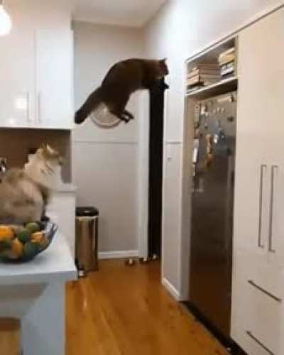 Jump right into the spot