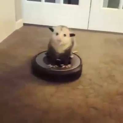 He ridin
