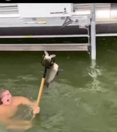 one pole, two fish