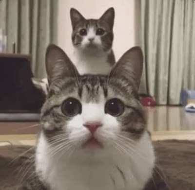 In sync!