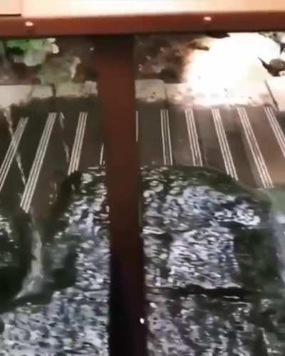 Вода камень точит