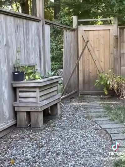 “I meant to do that” the bear probably.