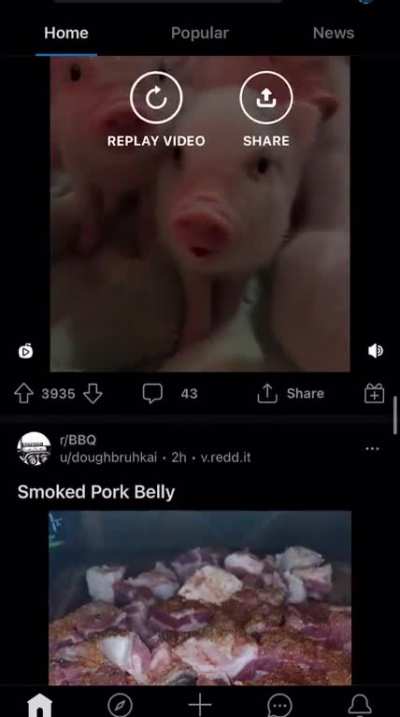 Just another day on Reddit