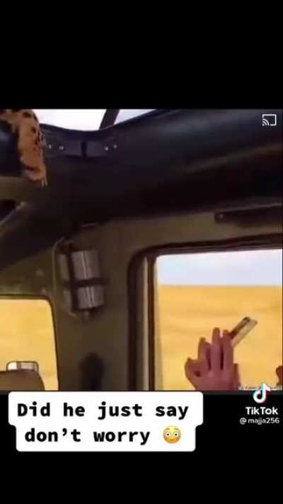 Cheetah climbs on tour car and guide remains cool