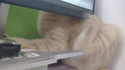 Why won't this scratch go away?