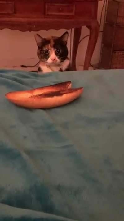 I was told to this sub might like my silly girl.