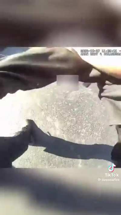 Cops are villains 